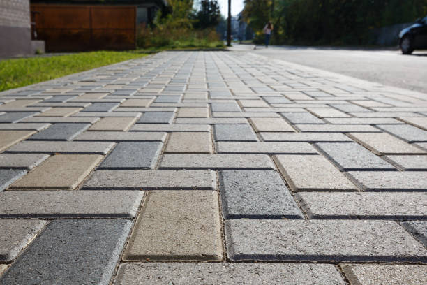 Best Residential Paver Driveway  in Willmsburg, IA